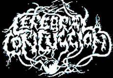 logo Cerebral Concussion